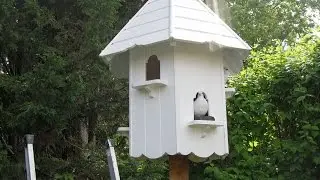 How to build a Dovecote - Part 2