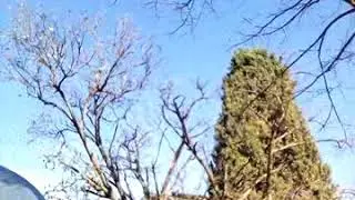 Bullone