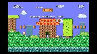 Infested Garden by Juany / Super Mario Bros Remastered