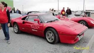 RARE! Ferrari 288 GTO: multiple Start-up, SPIT flames! and LOUD REV!