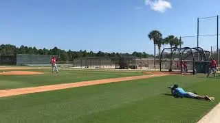 Video: Alex Reyes pitches live batting practice