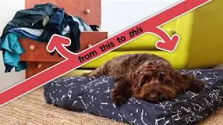 The Molly Mutt Bed is The Dog Bed Dogs Love&trade;