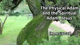 The Physical Adam and the Spiritual Adam, Jesus (Rom 5:12-21) (1/21)