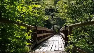 M&uacute;sica relajante de larga duraci&oacute;n