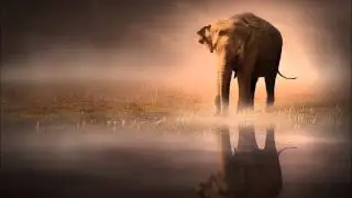 Alexandra Burke - Elephant (Crystal Drop Remix)
