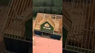 Строительство крыши 🏠