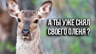 Фестиваль природной фотографии: Nature Photo Camp 2021