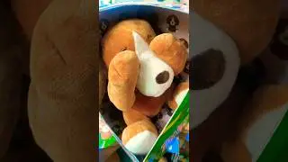 Gaur City Mall Noida Extension Part 4 #mall #gaurcitymall #noida #ncr
