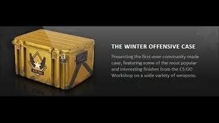 CS:GO | Winter Offensive Case Opening
