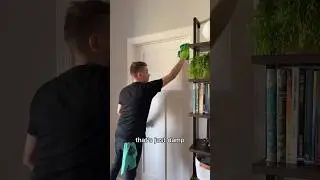 How to clean doors, trim and baseboards | Day 21/30 of my Spring Cleaning Spree #springcleaning