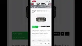 A Cool Holiday Update! #beturz #tesla #2025