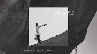 SVIBES - Colored Walls / Fly Low