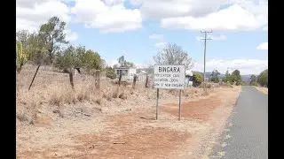 A peculiar animal known as the Yahoo, Yowie ( Bigfoot ) sighting at Bingara in 1895