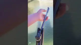 Targeting Birds with Shooting