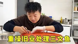 余雪是准备重操旧业吗？一大早就整回来一条十几斤重的三文鱼，处理好吃起来真的太爽了！