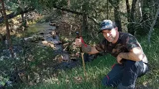 boletus edulis y setas de cardo por Madrid