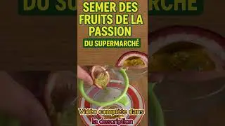 Comment SEMER des fruits de la passion du SUPERMARCHE ! #potager #jardinage #fruit de la passion