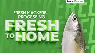 From the Ocean to Your Plate: Mackerel Packing Process in a Seafood Factory