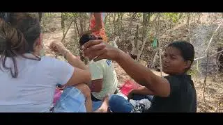 Sertanejo raíz em piquenique 