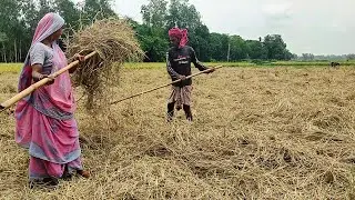 Bangladeshi village life vlog || daily work of village farmer | shadow of village