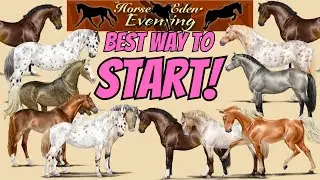 *BEST HORSE GENETICS* How to BOSS *HORSE EDEN EVENTING* when you first start the game!