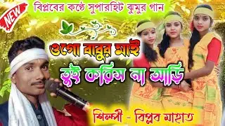 ওগো বাবুর মাই তুই করিস না আড়ি || Singer - Biplob Mahata || Biplob Mahata Jhumur