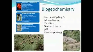 Llewellyn Foxcroft - Impacts of invasions on protected areas - May 2013