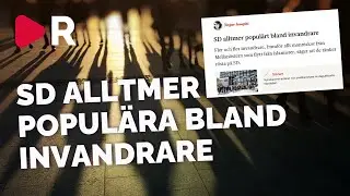 Invandrare fr&aring;n mellan&ouml;stern v&auml;nder sig till SD: &rdquo;Nog &auml;r nog&rdquo;