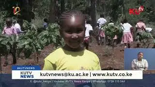 6-Year-Old Leads Tree-Planting Campaign in Kirinyaga
