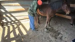 Duke brush out