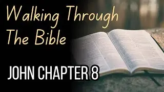 John Chapter 8