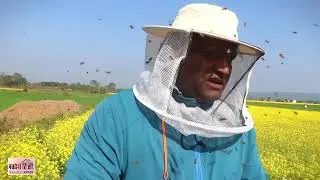 यसरी पाल्नुस माैरी - Beekeeping Techniques | माैरीपालनको तरिका - Miracle Garden in Madi Chitwan