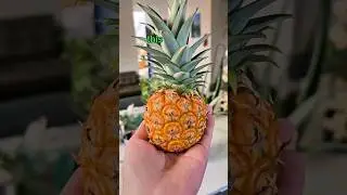 Mini Pineapple Taste Test