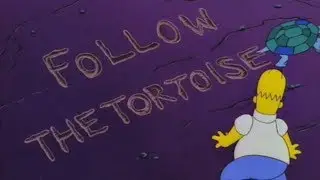 Follow the Tortoise