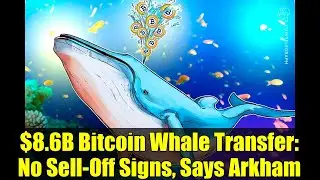 $8.6B Bitcoin Whale Transfer: No Sell-Off Signs, Says Arkham
