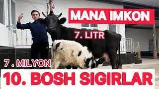 🛑13. MILYONDAN BOSHLAB SIGIRLARNI ARZON QILIB YUBORDI‼️MANA IMKON 