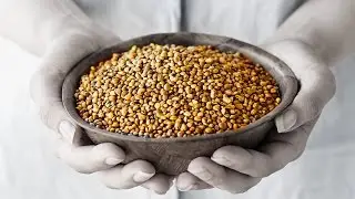Top 5 Protein Sources for Vegetarians