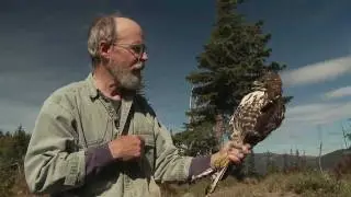 Grant's Getaways:  Bonney Butte Raptors