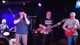 Mad Dog Blues Band.