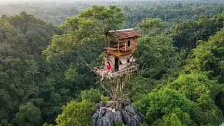 Life in a Very Dangerous Wild Forest and Building a Tree Hut