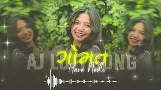 Gomat Hare Nedlo | Lo-fi ⚜️ Remake song Singer - Rinku Bharwad / MilanBharwad @aj_lofi_song_1