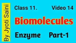 Class 11 Biomolecules :Enzyme ( Part -1) Video 14