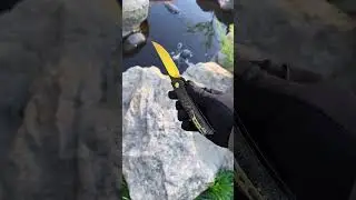 Брутальность и качество это про этого красавца Swift BG30-2 #охота