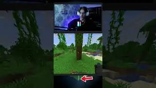 Cat de REPEDE Sparg o *Bucata de Lemn* in Minecraft..