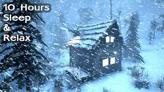 SEVERE VANCOUVER BLIZZARD | Extreme Snowstorm Sounds, Roaring Winds. Winter Storm Ambience for Sleep