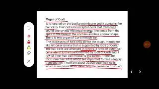 Describe inner ear and organ of corti. Discuss about sound transduction