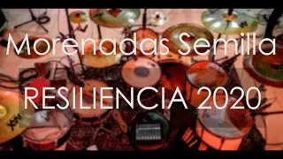 Morenadas Semilla - Gardenia en vivo (RESILIENCIA 2020) | Mauri Drumsticks DRUM CAM