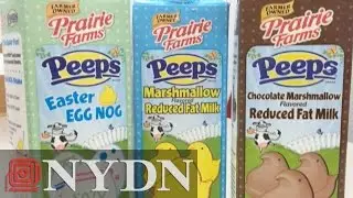Daily News Tries New Peeps Milk