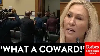 'Hunter Biden Just Walked Out!': Marjorie Taylor Greene Reacts To 'Coward' Hunter Bolting Hearing
