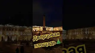 Санкт-Петербург✨️#travel #love #nature #newyear #nice #light #tree #palace #spb #sky #vlog #history